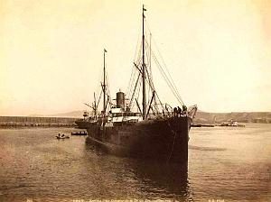 PO - 03